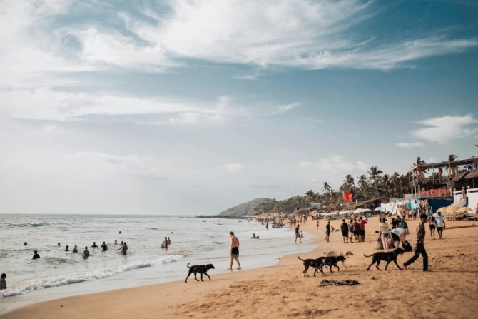 Goa Beach Getaway (3)