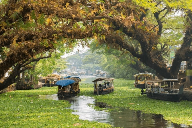 Kerala Backwaters & Hills (2)