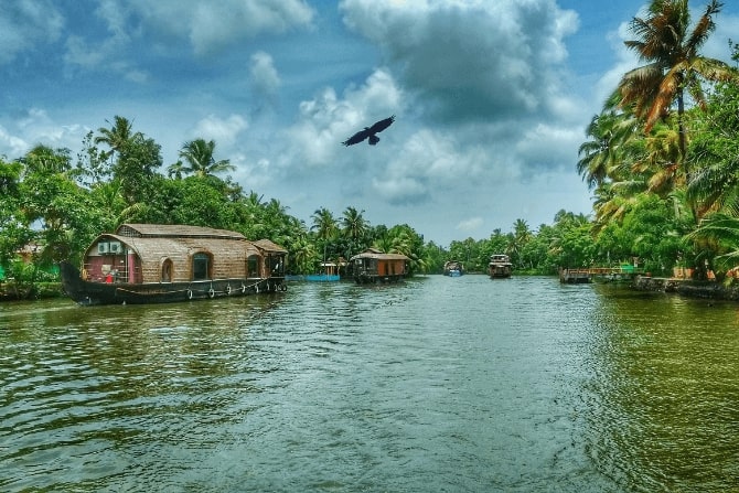 Kerala Backwaters & Hills